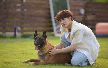 Лакорн Любовь подобна кошке 3 серия 