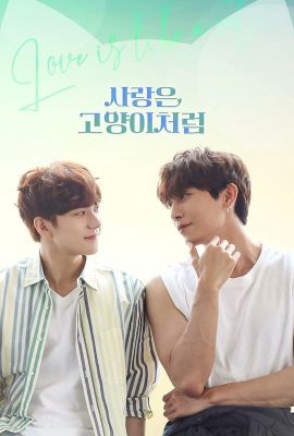 Лакорн / дорама Любовь подобна кошке